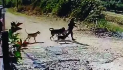 Bahçedeki köpeği alıp kaçtı