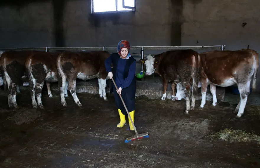 250 bin lira hibe desteğiyle 2 yılda 6'ya katladı: Üretip tüm ilçeye satıyorlar 1