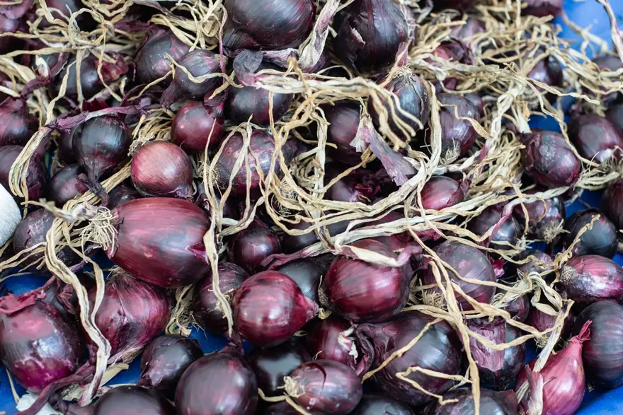 Uzmanı açıkladı: Yemeklere eklemek iltihabı azaltabilir 4 Uzmanı açıkladı: Yemeklere eklemek iltihabı azaltabilir 4