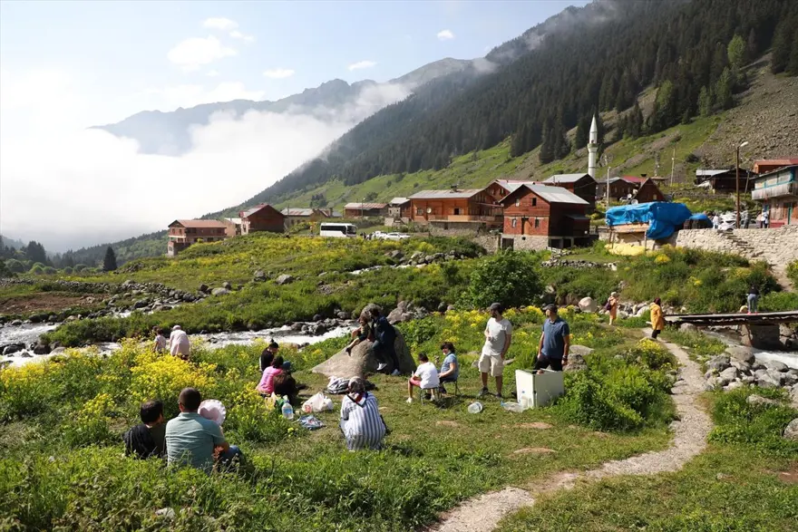 Karadeniz'in yeni gözdesi 'Elevit Yaylası' ziyaretçilerine nefes oluyor 1