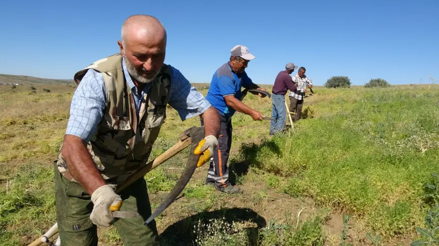 Türkiye'de ilk sırada yer alıyor! Aylık 45 bin liraya çalışacak işçi bulamıyorlar 4