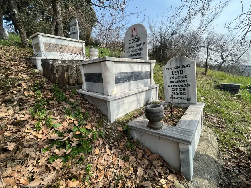 Evcil hayvanlara özel mezar yeri! Papağan da gömüldü, kuş da... "Bukalemun gömmek isteyen oldu" 