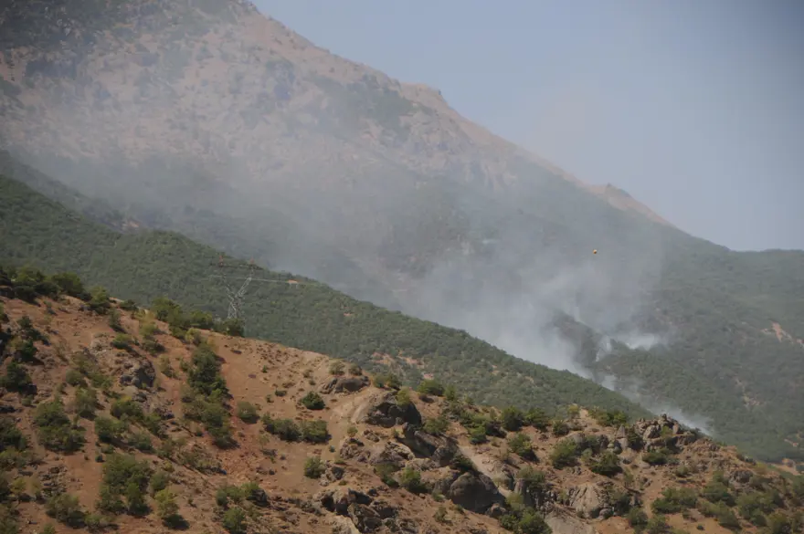 Tunceli'deki orman yangınları sürüyor 7
