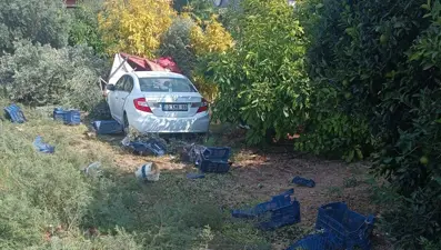 Zeytin toplayan işçilere çarptı: Ölü sayısı yükseldi