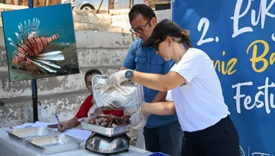 Antalya'da istilacı aslan balığı avlama yarışması