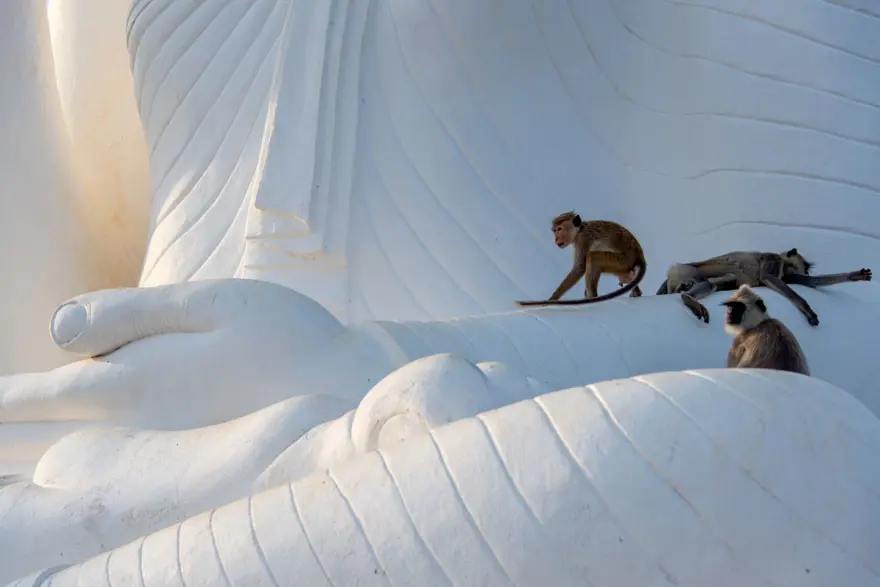 "FARKLI AMAÇLAR İÇİN DE KULLANILABİLİRLER" 3