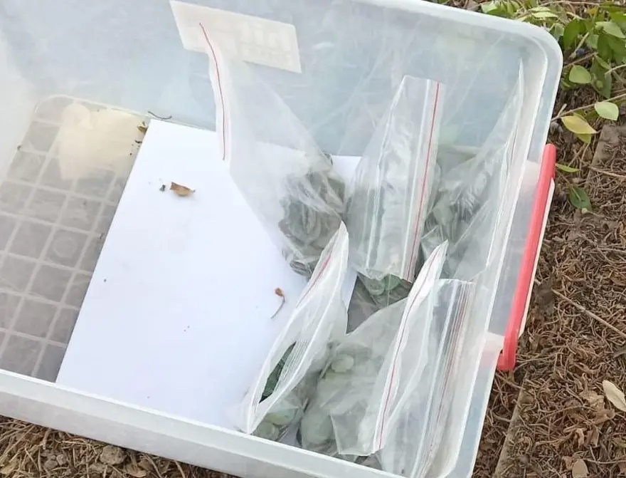 Mezarlıkta defin için yer kazarken define buldu! Topraktan çil çil sikke döküldü 3