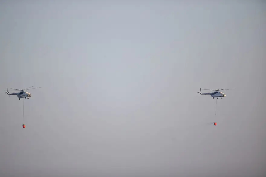 Cumhurbaşkanı Erdoğan: Marmaris'teki orman yangını büyük oranda kontrol altında 37