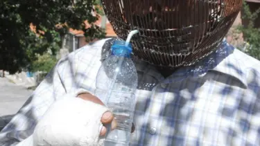 Sigarayı bırakmak için tel kafese girdi