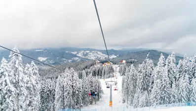 Ilgaz Dağı'ndaki Türkiye Kayak Federasyonuna ait telesiyej kapatıldı