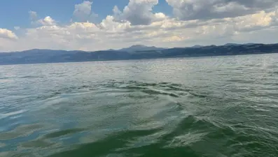 Eğirdir Gölü'nde korkutan görüntü: Gaz çıkışı kaynaklı olabilir