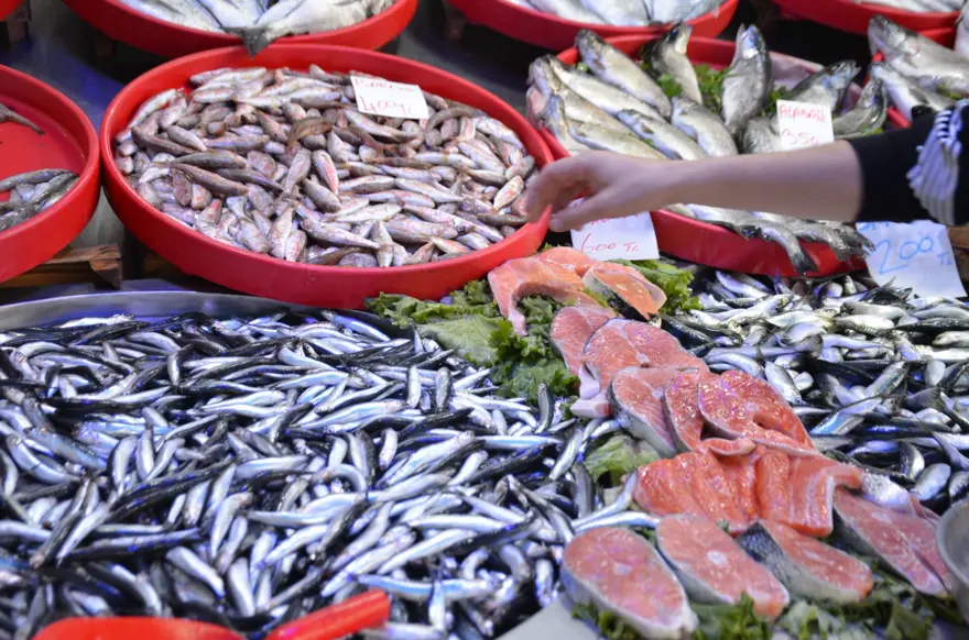 Mevsimin en lezzetli balıkları: Tezgahlar dolu, herkesin yüzü güldü 2