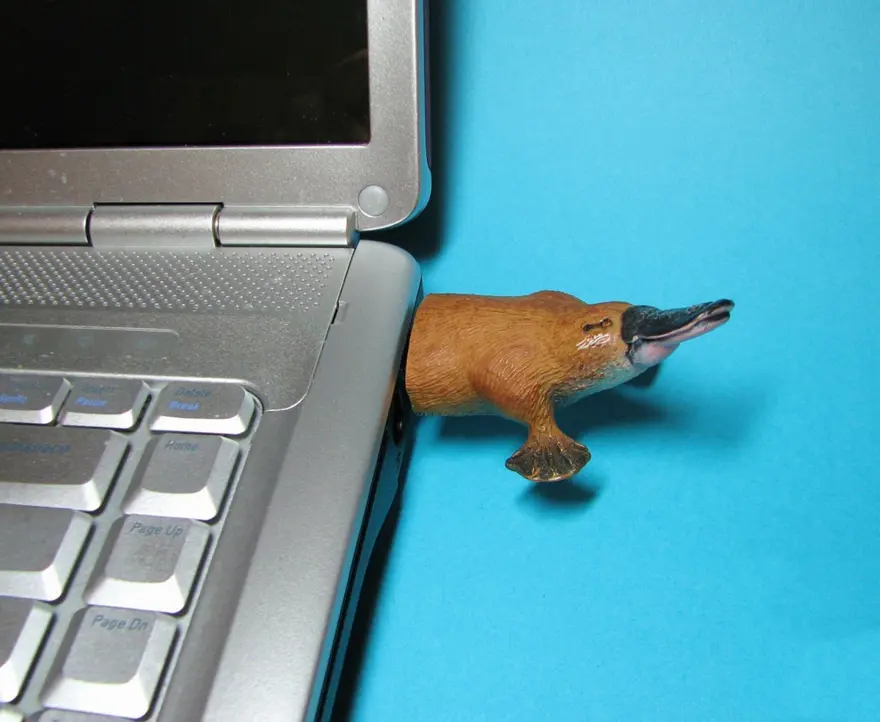 USB belleklerin fantastik dünyası 56