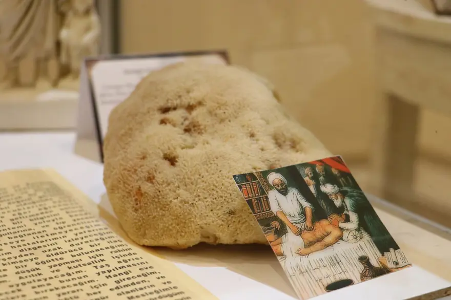 Atatürk'ün sağlık raporları 'anestezi tarihi' sergisinde 6