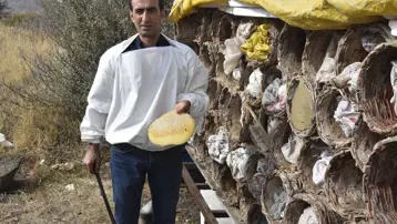 Ünü dünyanın dilinde, hasadı başladı: Türkiye'de ilk sırada