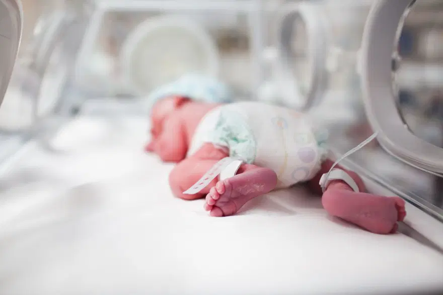 Türkiye'de 2024'ün en popüler bebek isimleri: Kız ve erkek çocuklarına en çok bu isim verildi 6