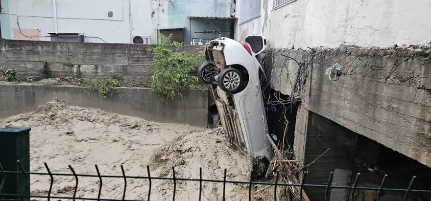 ÖLÜ YA DA YARALI YOK 3