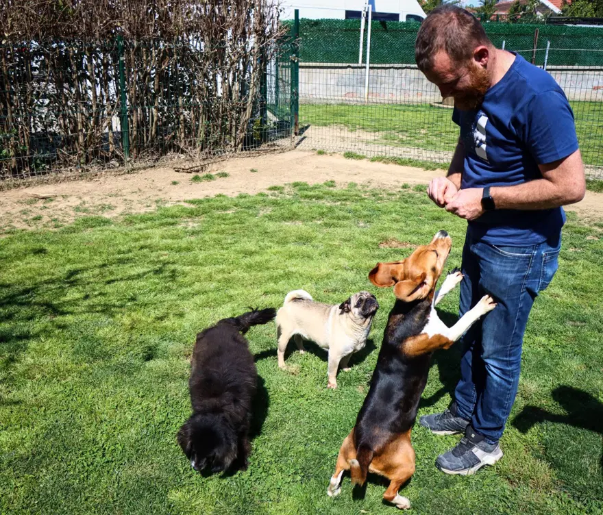 Kedi köpek otelinde bayram yoğunluğu 9 Kedi köpek otelinde bayram yoğunluğu 9