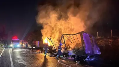 Seyir halindeki TIR alev alev yandı