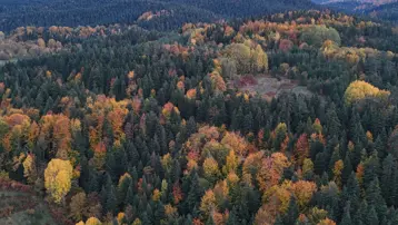 Sinop’ta sonbahar renkleri