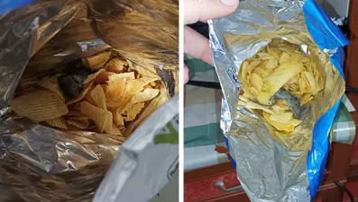 "Cips poşetindeki fare"de takipsizlik kararı