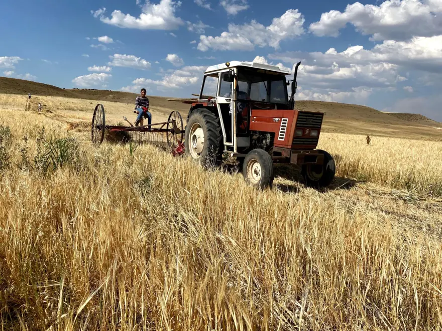 Kavurucu sıcaklarda zorlu mücadele! Sabahtan akşama kadar durmadan çalışıyorlar 4
