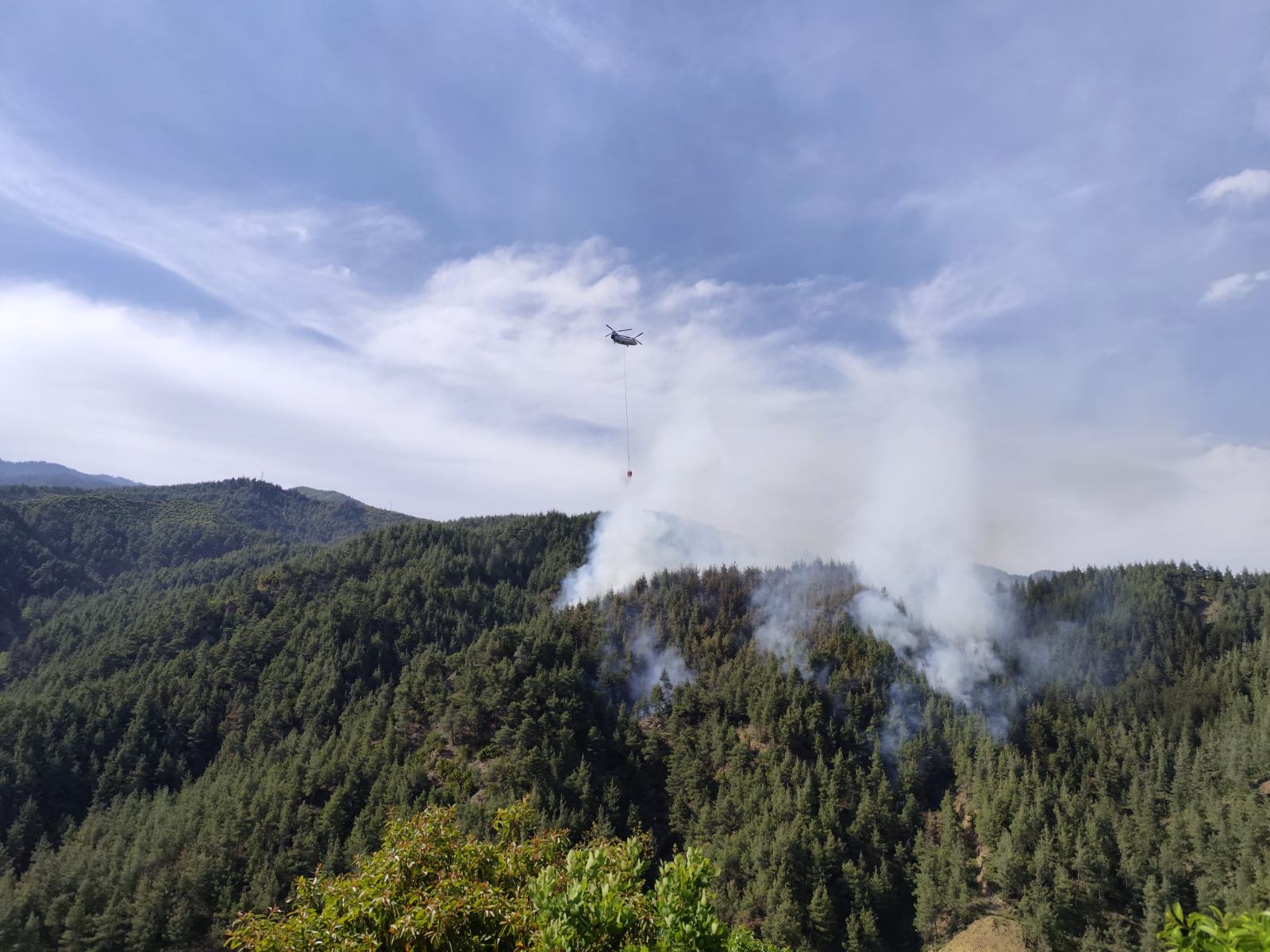 Kahramanmaraş'ta orman yangını