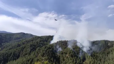 Kahramanmaraş'ta orman yangını