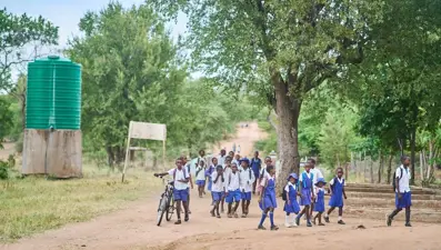 Zimbabve'de sahte peygamber: 251 çocuğa istismar suçlaması