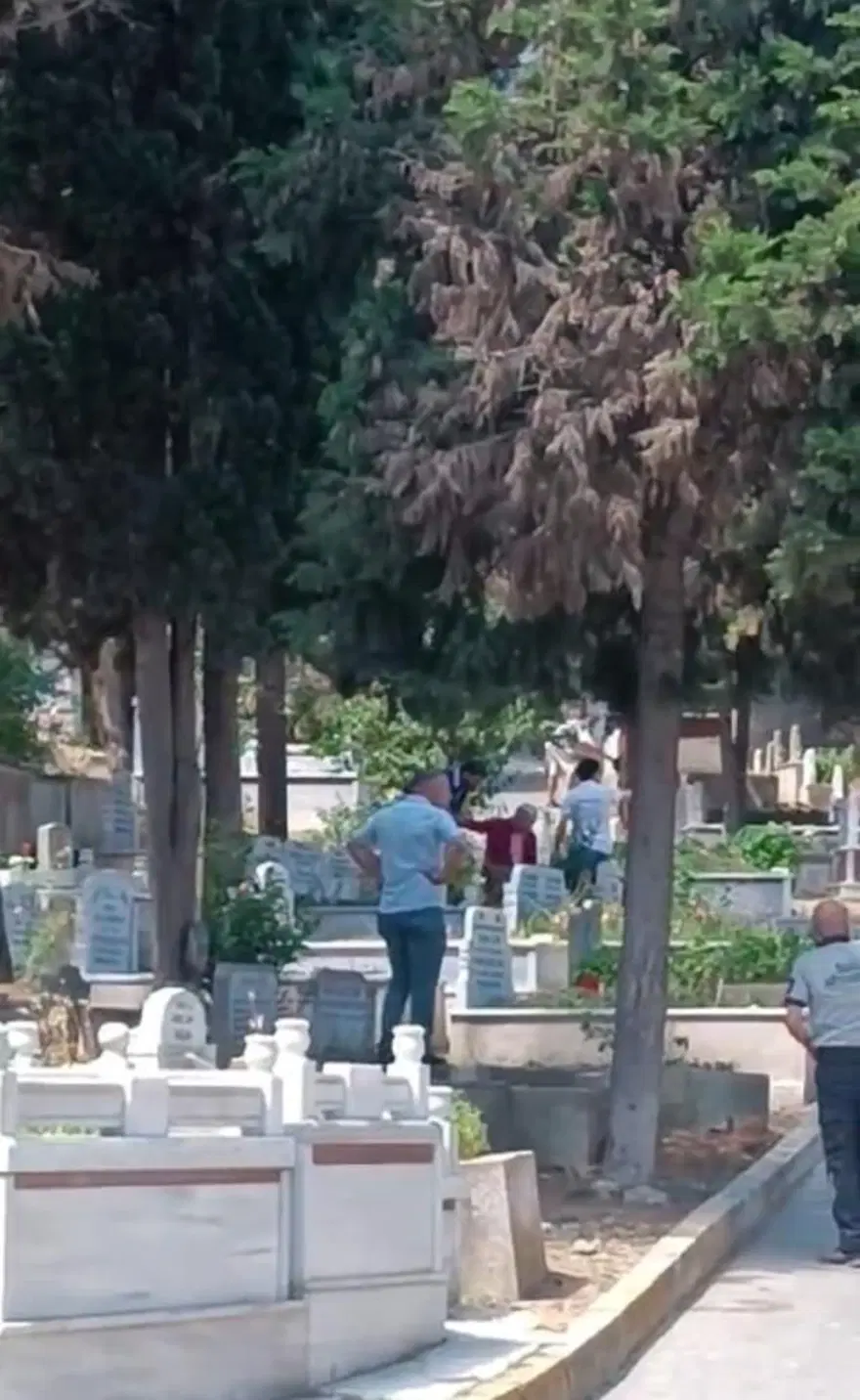 İstanbul’da boğa mezarlığa daldı: 2 yaralı 4