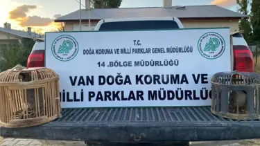 Kaçak keklik avlayan kişiye 48 bin lira ceza