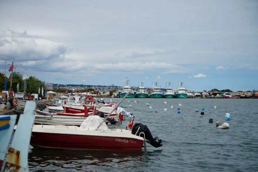 Balıkçılarda hazırlık tamam: "Bu yıl hamsi bol, palamut az olacak" 3