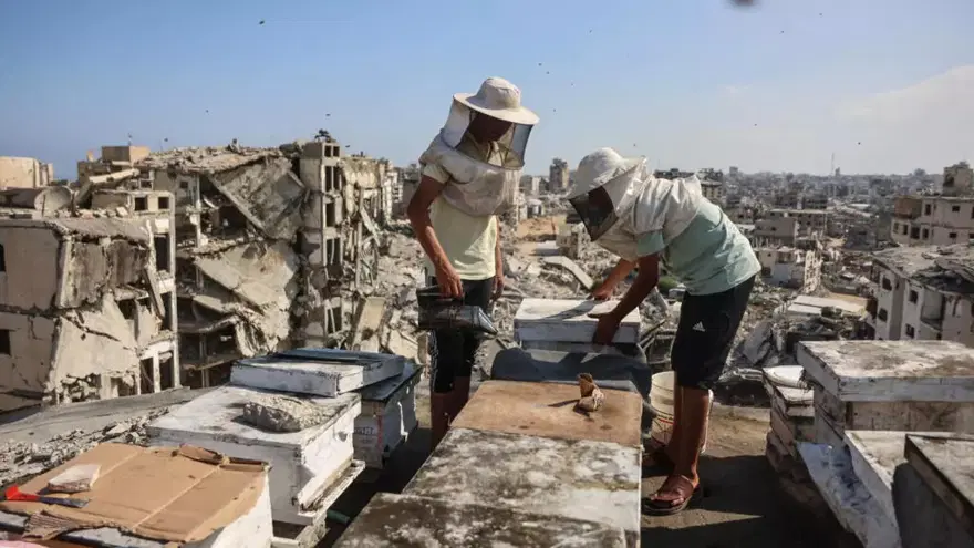 35 kovanıyla yıkıntıların arasında hayata tutunuyor 35 kovanıyla yıkıntıların arasında hayata tutunuyor