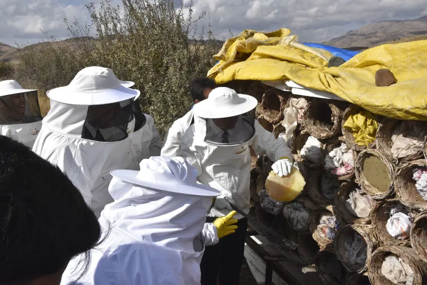 Ünü dünyanın dilinde, hasadı başladı: Türkiye'de ilk sırada 5