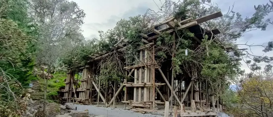 Bodrum’da kaçak inşaata ağaç dallarıyla kamuflaj 2 Bodrum’da kaçak inşaata ağaç dallarıyla kamuflaj 2