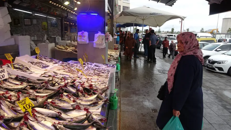 Havalar serinledi, tezgahta bolluk yaşanıyor: Tanesi 100 TL 7 Havalar serinledi, tezgahta bolluk yaşanıyor: Tanesi 100 TL 7