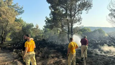 Urla'daki orman yangınının nedeni mangal çıktı