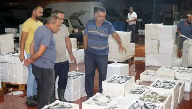 Av yasağı kalktı; 1 kilo fiyatına 1 kasa balık