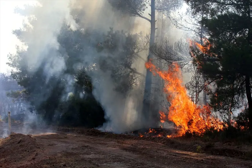 Çanakkale'deki orman yangını kontrol altına alındı 