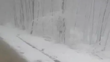 Kar İstanbul'a geri döndü: Gece etkisini artıracak