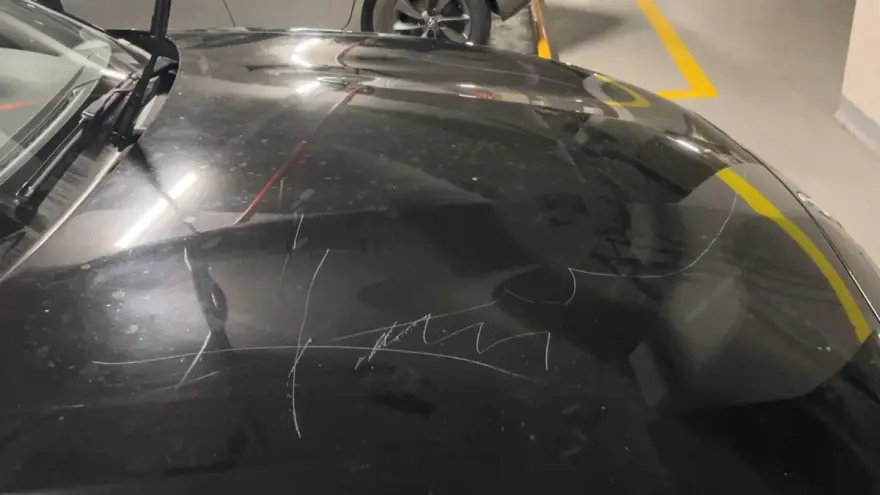 ŞİKAYETÇİ OLDULAR 1 ŞİKAYETÇİ OLDULAR 1