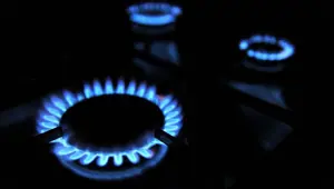 Günlük doğalgaz tüketiminde yeni rekor Günlük doğalgaz tüketiminde yeni rekor
