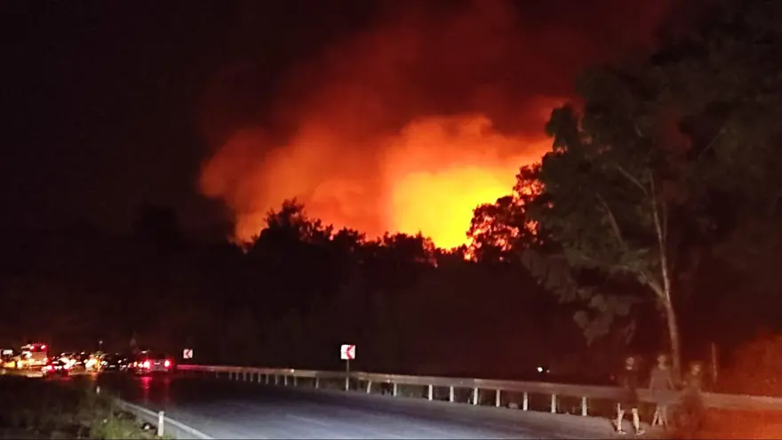 Manisa, Kahramanmaraş ve Antalya'da orman yangınları 16