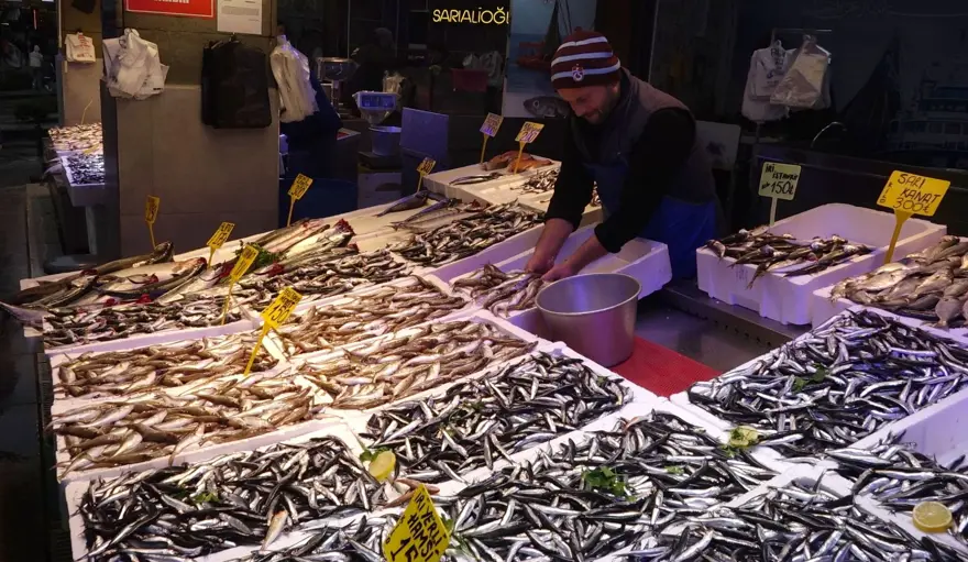 Karadeniz’de hamsibolluğu: Tezgahlar doldu 1