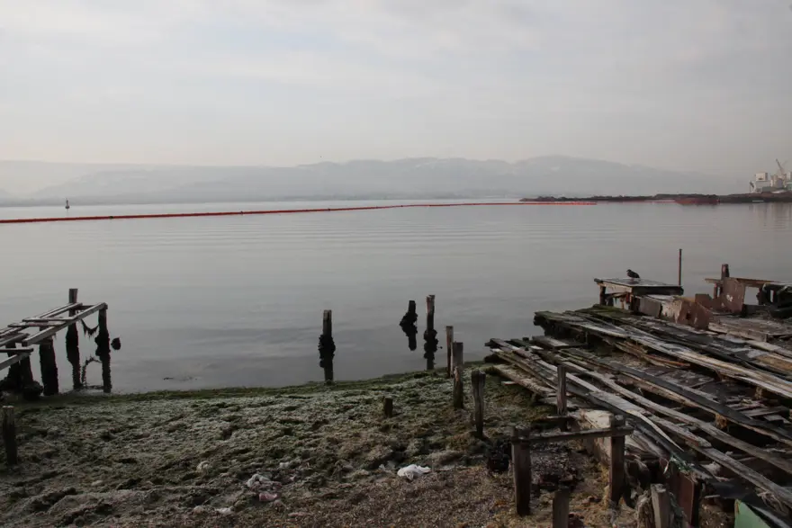 İzmit Körfezi'ne madeni yağ sızıntısı 3