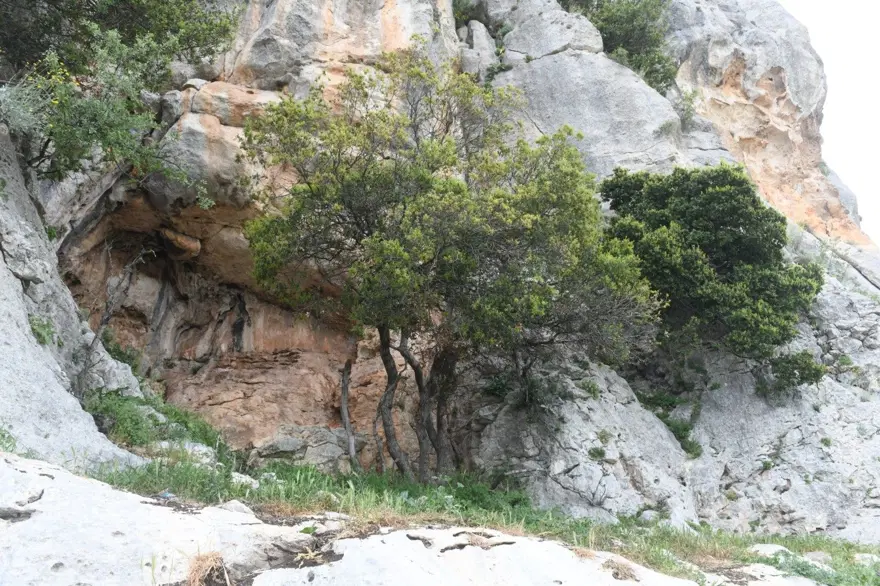 Mersin’de bir mağarada bulunan 8 bin yıllık kaya resimleri koruma altına alınıyor 4
