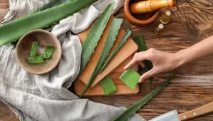 Aloe Vera nedir, Faydaları nelerdir? Aloe Vera (tıbbi sarısabır) bitkisine nasıl bakılır?