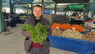 Sindirim ve mide sağlığına iyi geldiği biliniyor: Çiğ hali daha etkili, bağı 30 liradan satılıyor
