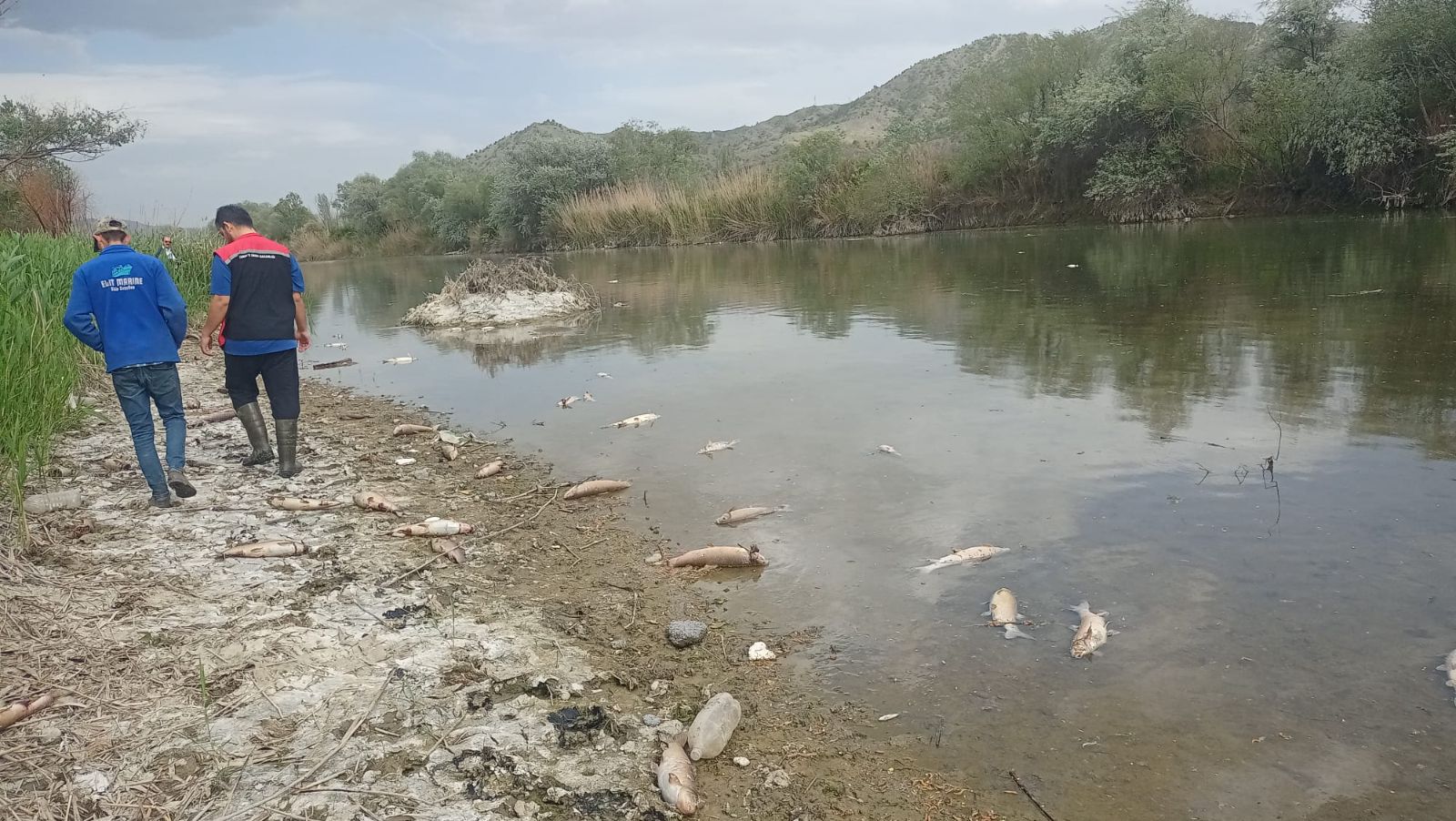 Kızılırmak Nehri'nde balık ölümleri: Elektrik şoklaması iddiası