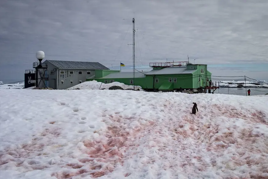 antarktika, en iyi kış fotoğrafları, antarktika fotoğrafları, anktarktika'da hayat, antarktika manzaları, kuzey kutup bölgesi, türkiye antarktika bilim üssü, türkiye antarktika üssü, türkiye 3. ulusal bilim seferi 22